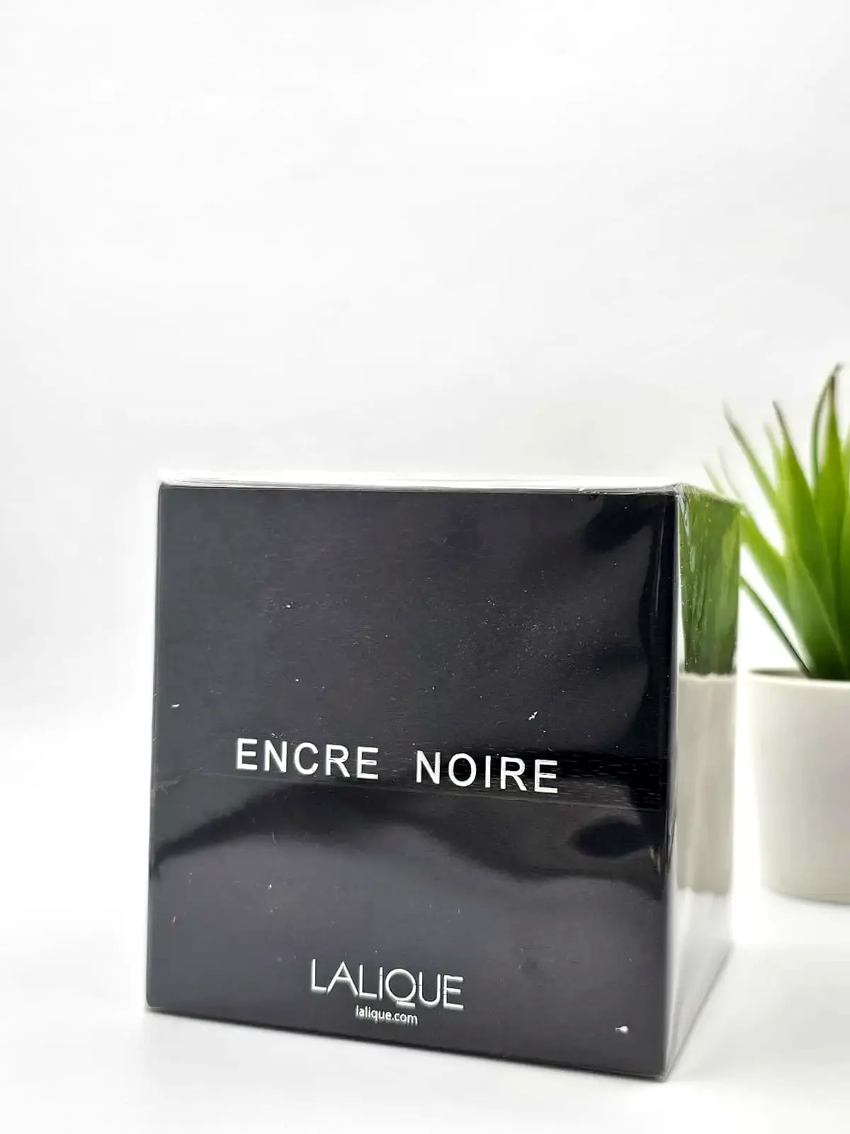 Lalique Encre Noire EDT 100 ml