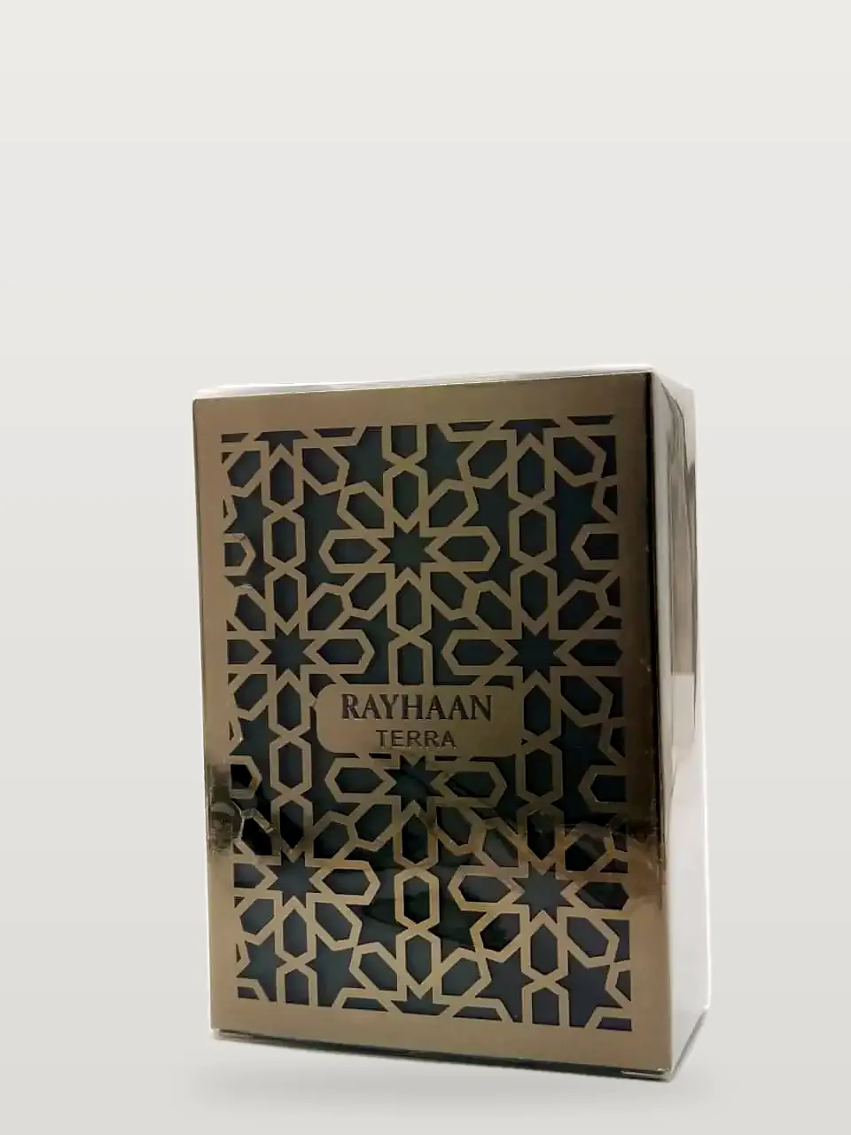 Rayhaan Terra Eau de Parfum 100 ml for Unisex