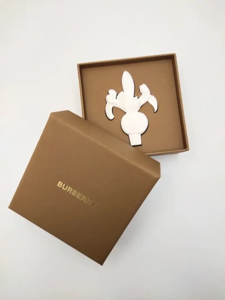Burberry Charm