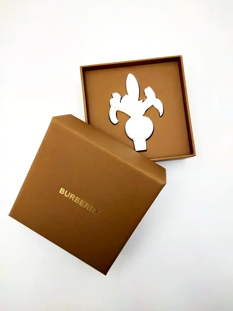 Burberry Charm