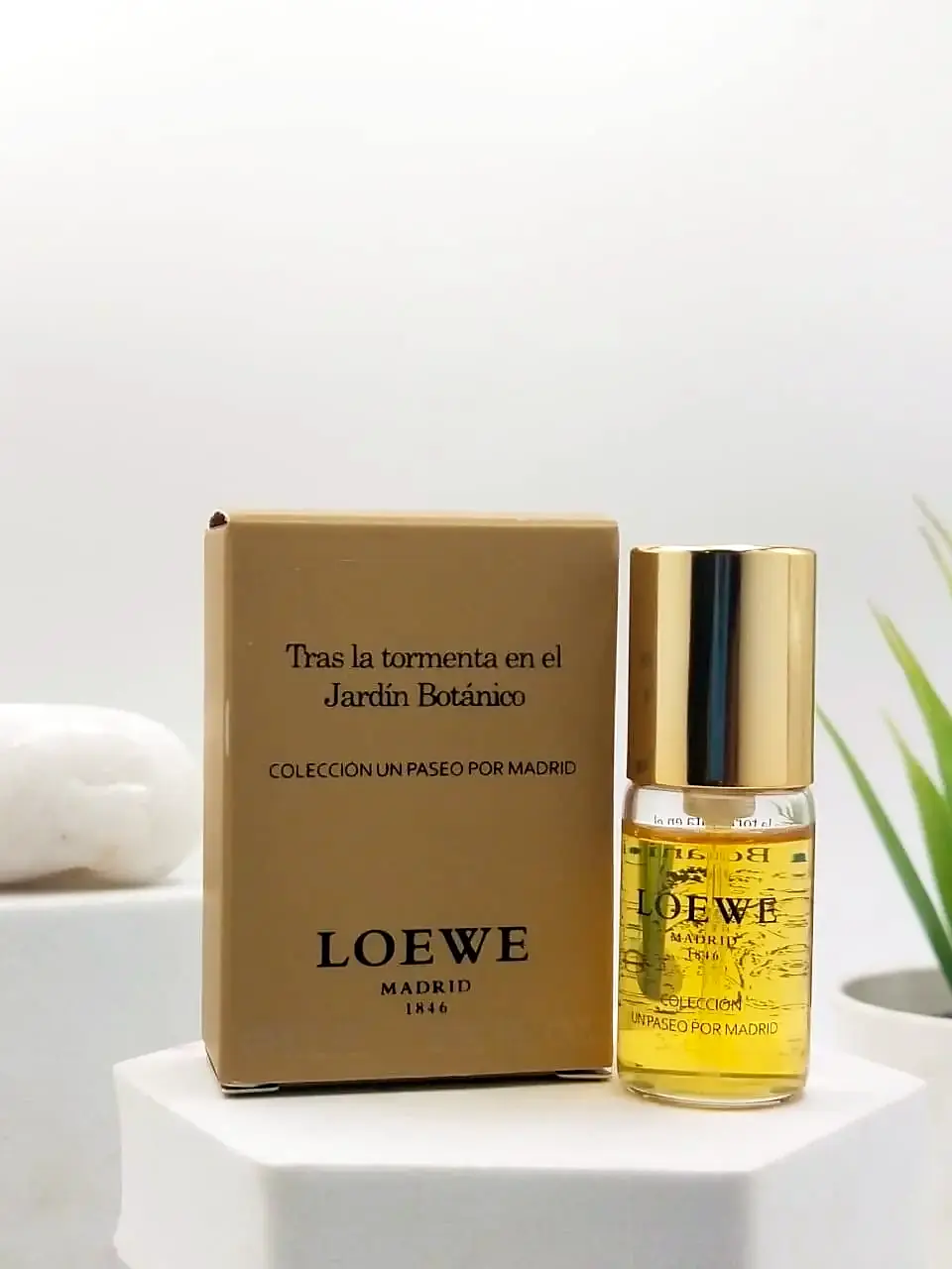 [8426017038225] Loewe Tras La Tormenta En El Jardin Botanico EDP 7 ml